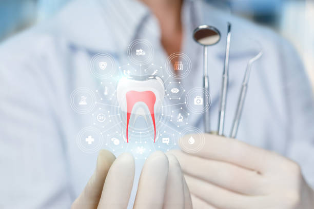 Best Preventive Dentistry  in Beaufort, SC